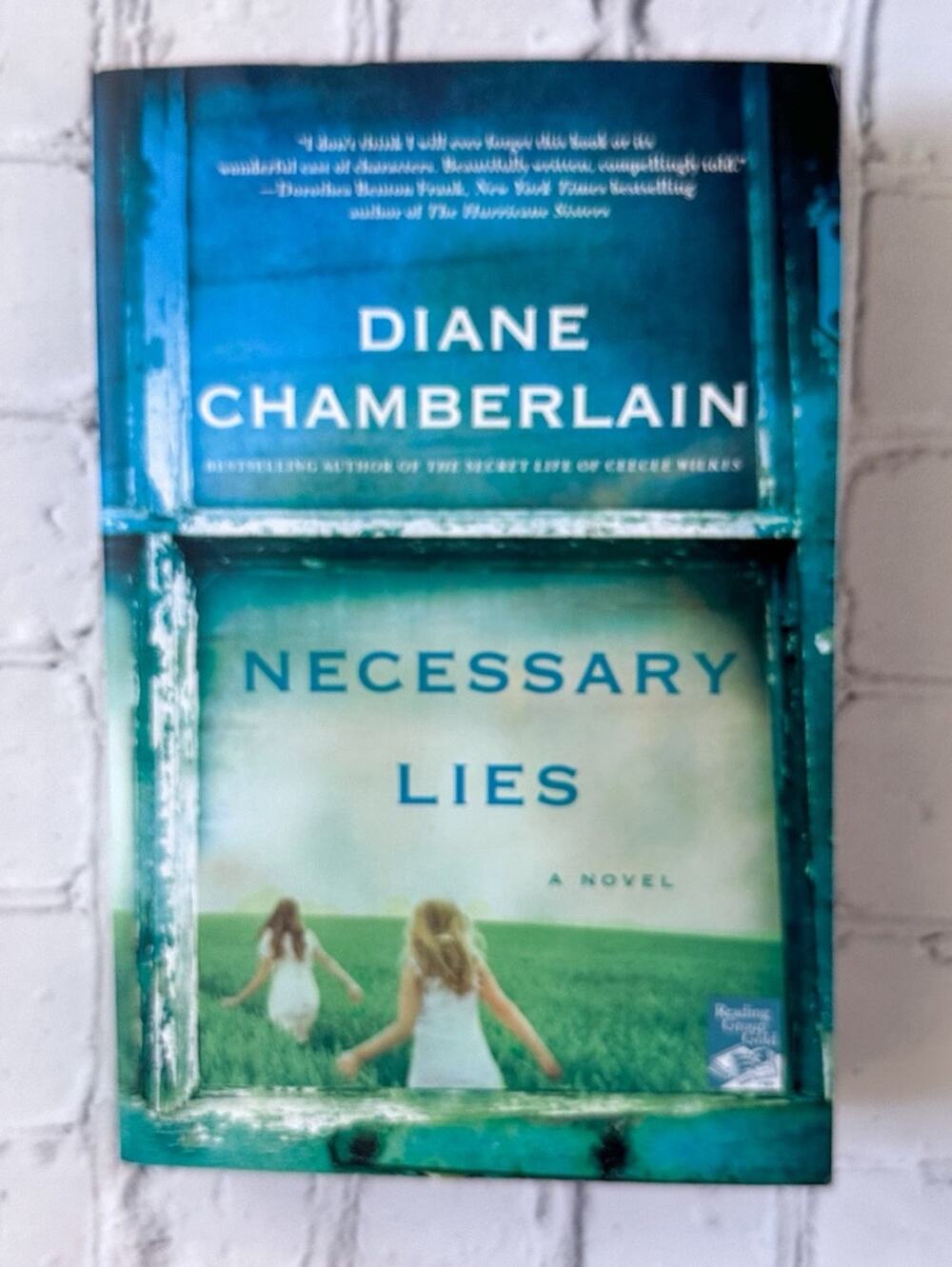 Necessary Lies Bestselling Book by Diane Chamberlain, Very Good Used Condition